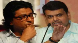 Fadnavis meets Raj Thackeray- India TV Hindi