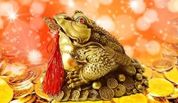 Fengshui frog- India TV Hindi