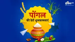 Pongal 2020- India TV Hindi