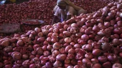 Government, exports, Krishnapuram onions- India TV Paisa