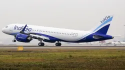 <p>Indigo</p>- India TV Paisa