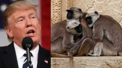 Donald Trump in Agra, Donald Trump Langur, Donald Trump Taj Mahal- India TV Hindi