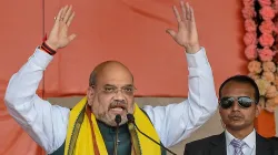 <p>Amit Shah</p>- India TV Hindi