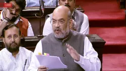 <p>Union Home Minister Amit Shah</p>- India TV Hindi