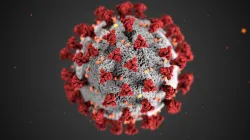 <p>CoronaVirus </p>- India TV Hindi