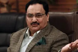 <p>BJP President JP Nadda</p>- India TV Hindi