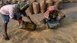 Government sets foodgrain production target at record 298.3 million tons for 2020-21 crop year- India TV Paisa