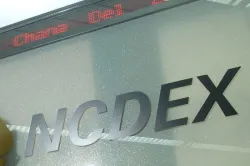 <p>NCDEX</p>- India TV Paisa