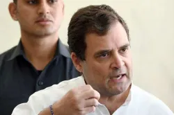 <p>Rahul Gandhi</p>- India TV Hindi