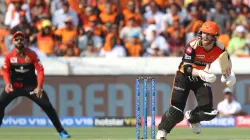 david warner, ipl 2020, indian premier league, t20 world cup, icc t20 world cup 2020, coronavirus, c- India TV Hindi