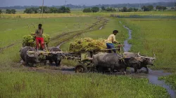 Farmers- India TV Hindi