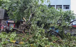 महाराष्ट्र: निसर्ग तूफान की रफ्तार कम हुई, सीएम उद्धव ठाकरे ने प्रशासन से तत्काल राहत सुनिश्चित करने- India TV Hindi