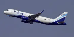 <p>Indigo </p>- India TV Paisa