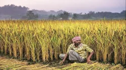 Banks sanction Rs 62,870 crore to over 70 lakh Kisan Credit Card holders- India TV Paisa