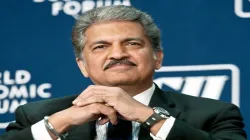 <p>Anand Mahindra </p>- India TV Paisa