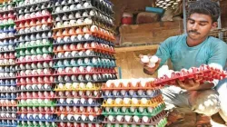 Wholesale price of eggs hits a record high before winter- India TV Paisa