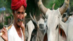 NDDB launch call centre for animal husbandry- India TV Paisa