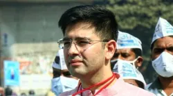 Raghav Chadha, Raghav Chadha Girl, Raghav Chadha Minor, Raghav Chadha Man Find Daughter- India TV Hindi