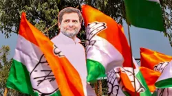 congress announces candidates for morena mehgaon malhara badnawar । मध्य प्रदेश उपचुनाव: कांग्रेस पा- India TV Hindi