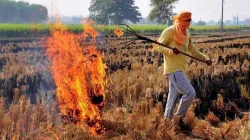 PAU Stubble Smoke, Stubble Smoke Punjab To Delhi, Stubble Smoke PAU, Stubble Smoke- India TV Hindi