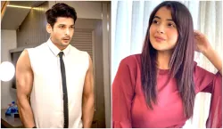 sidharth shukla shehnaaz gill - India TV Hindi