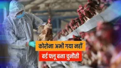 <p>Bird Flu</p>- India TV Hindi