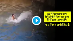 Man jumps into well to save cobra from drowning see viral video कुएं में गिर गया था सांप, फिर लोगों - India TV Hindi