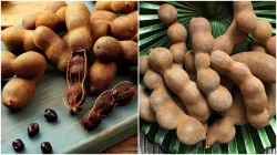 tamarind for type 2 diabetes- India TV Hindi