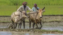 farmer wheat msp biometric system to be used in uttar pradesh bihar rajasthan odhisha किसानों तक सीध- India TV Paisa