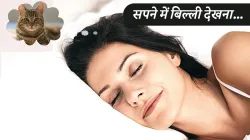 cat in dreams- India TV Hindi