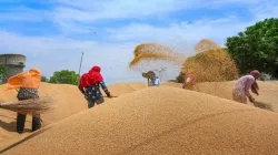 कोरोना वायरस के मामले बढ़ने, फसल पकने में देरी के चलते पंजाब में गेहूं खरीद अब 10 अप्रैल से- India TV Paisa