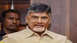 TDP प्रमुख चंद्रबाबू नायडू की चुनाव रैली में अज्ञात शरारती तत्वों ने फेंके पत्थर - India TV Hindi