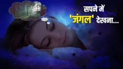 dream interpretation - India TV Hindi