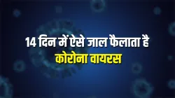 corona virus - India TV Hindi