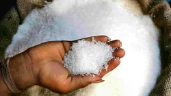 Disruption in sugar supply chain minimal due to night curfew, lockdown- India TV Paisa