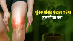 Uric Acid- India TV Hindi