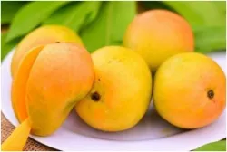 <p>Mangoes </p>- India TV Hindi