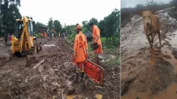 Dog searching his owner in debris from last four days मलबे में दफ्न अपने मालिक को तलाश रहा 'मोती', च- India TV Hindi