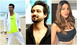 saurabh jain eliminate from Khatron Ke Khiladi 11 arjun bijlani nikki tamboli rohit shetty - India TV Hindi