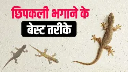 छिपकली को घर से भगाने के लिए आजमाएं ये घरेलू उपाय- India TV Hindi