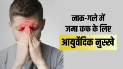 ayurvedic remedies - India TV Hindi