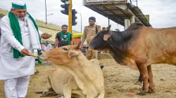 10 साल तक प्रदर्शन के लिए तैयार हैं, लेकिन कृषि कानूनों को लागू नहीं होने देंगे: राकेश टिकैत - India TV Hindi