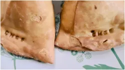 samosa with serial number - India TV Hindi