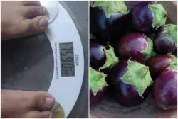 Brinjal for weight loss- India TV Hindi