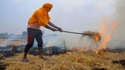 केन्द्र ने पराली की समस्या से निपटने के लिए पंजाब, हरियाणा, उत्तर प्रदेश को 491 करोड़ रुपए जारी किए- India TV Paisa