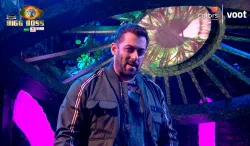 <p>Salman Khan</p>- India TV Hindi