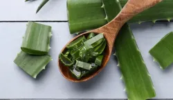 How to make aloe vera ki sabzi - India TV Hindi