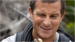 beargrylls- India TV Hindi