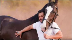 Salman Khan share a beautiful pic with his horse - India TV Hindi