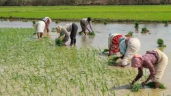 <p>farmers</p>- India TV Paisa